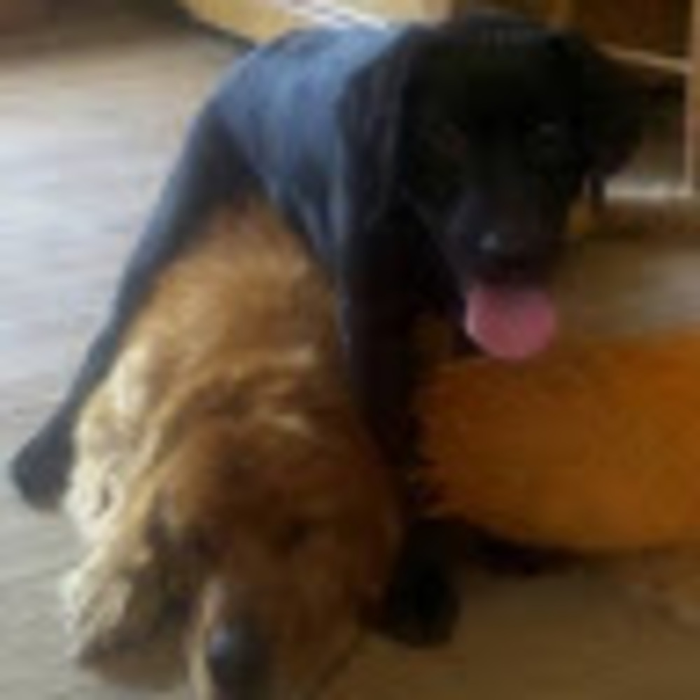 Meet your Posher, Patrick